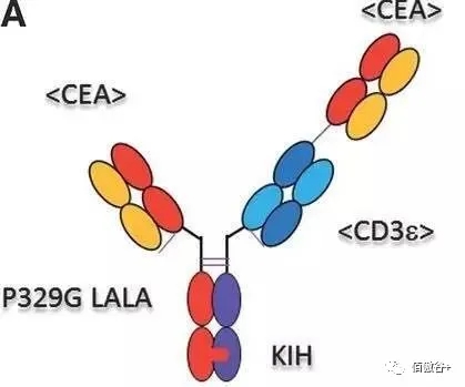 信达生物与罗氏达成20亿美元合作：开发通用CAR-T和双特异性抗体