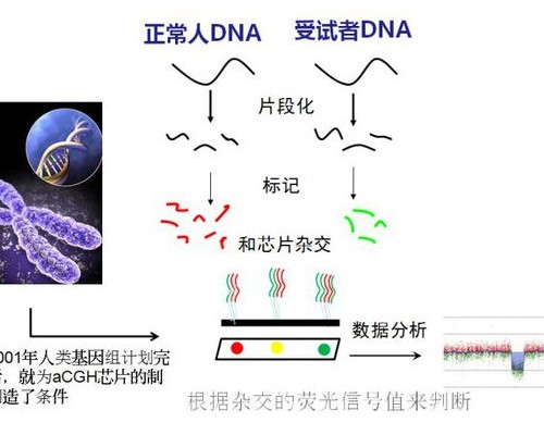为什么试管移植总是不成功？可能和宫寒有关