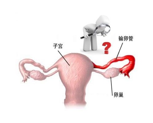多囊不孕做试管，成功率到底怎么样