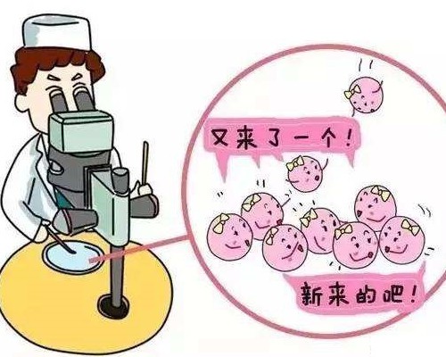子宫前位试管移植后怎么躺，分享一些实用建议