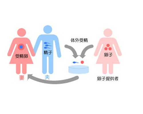 胎停育是假的吗？有过胎停史再次怀孕要注意什么