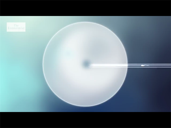 试管婴儿4bb囊胚一次成功？过来人分享真实移植经验