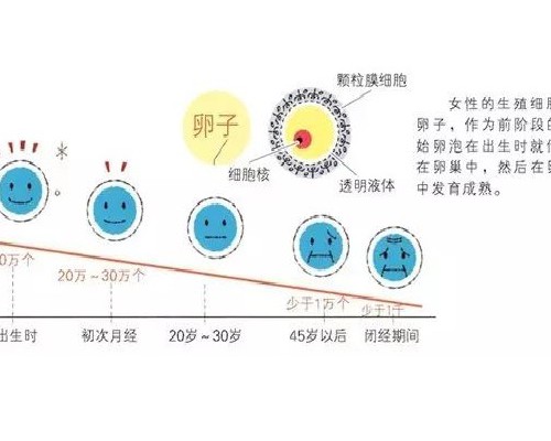 北京解放军第六医学中心的三代试管技术怎么样