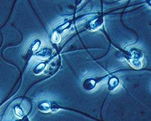 高龄做试管婴儿有哪些风险？方案和成功率都在这