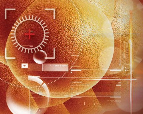 上海中山医院供卵试管移植要花多少钱