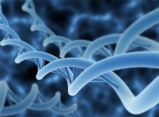 三代试管费用明细！2026年广东省妇幼保健院最新价格一览