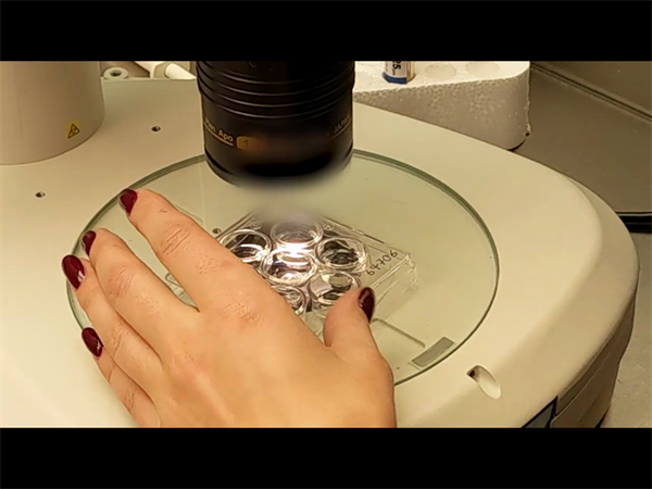 试管绿通方案背后的顶配专家团：生殖大咖全程跟进的3大优势！