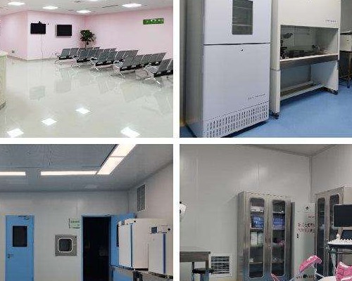 异地试管就医指南：如何在外地医院获得最佳治疗体验和生活安排