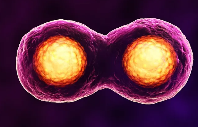 高龄供卵试管的心理压力有多大？过来人分享真实心路