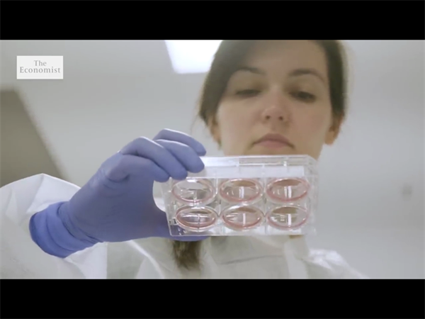 国内vs国外高龄供卵试管婴儿费用对比：哪个更划算？