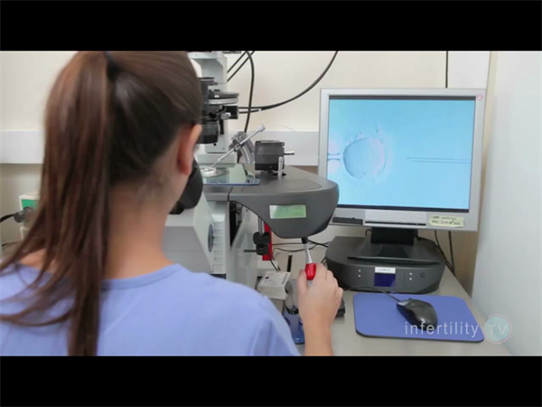 马来西亚供卵试管婴儿成功的关键!这些因素你了解吗