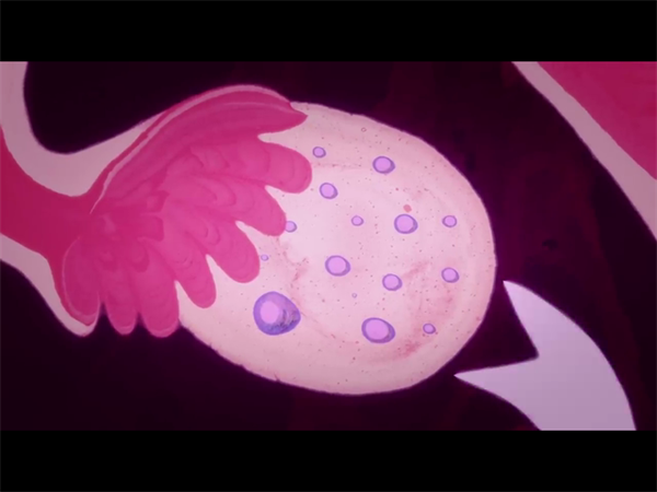 马来西亚供卵试管婴儿合法吗?2026最新法律政策全解读