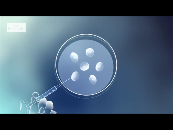 马来西亚供卵试管周期时间安排表!如何高效规划行程