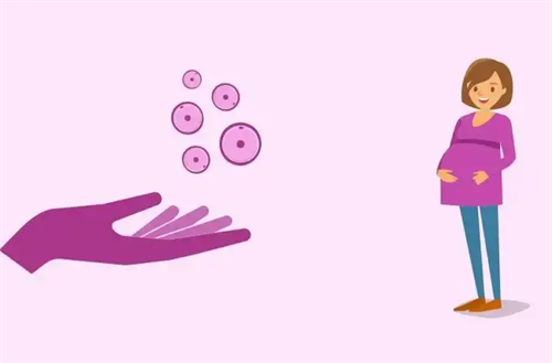 供卵试管条件全解析：不同体质女性如何选择最佳方案？