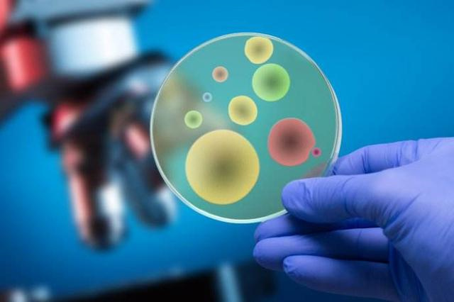 2026最新供卵试管需要哪些条件？年龄、健康与经济门槛全盘点