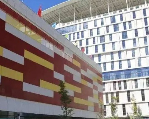 染色体异常必须做供卵试管吗？遗传问题解决方案