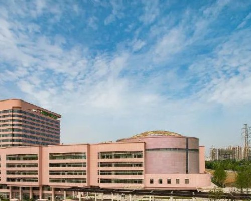 AMH值低做供卵试管成功率有影响吗?