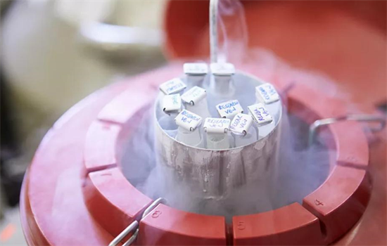 卵巢早衰供卵试管医院怎么选?资质、口碑与成功率全攻略