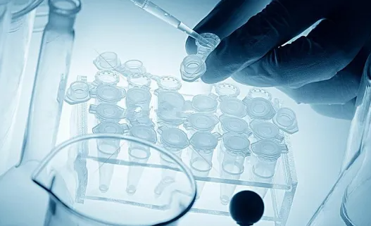 面对卵巢早衰供卵试管费用是难题?实用省钱策略与预算规划解析