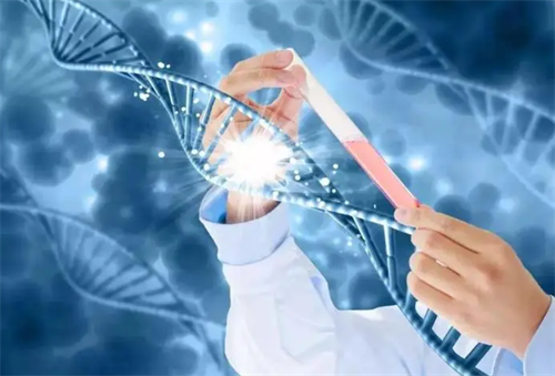 年轻夫妻试管一次成功要多少钱?高成功率如何摊薄单次成本