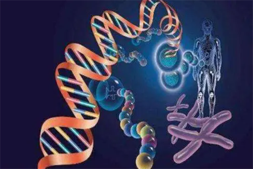 试管婴儿能阻断艾滋病母婴传播吗?感染者的生育希望在这里