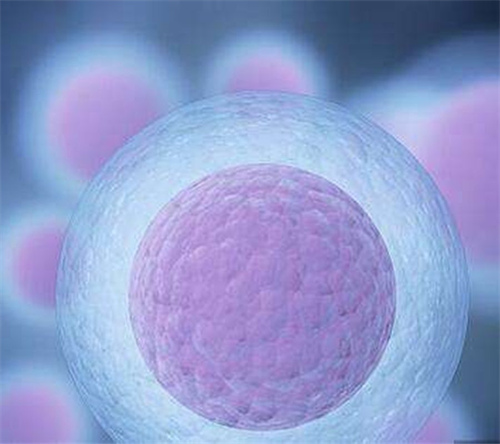 想找郑州靠谱供卵三代试管医院?这5家机构的隐藏优势别错过