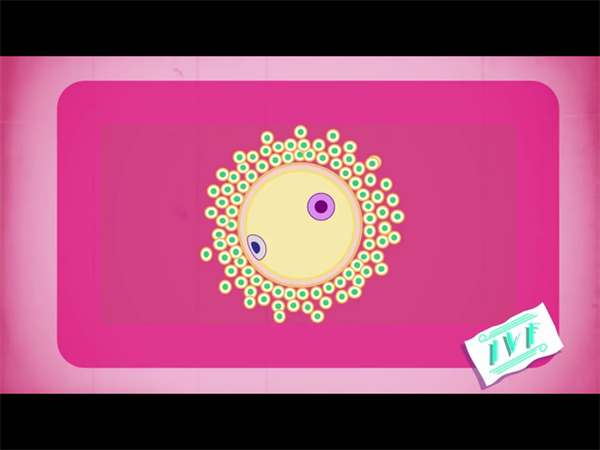 供精试管并非人人可做！北医三院满足条件后费用大概多少