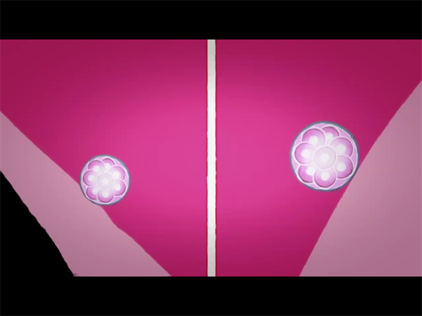 北医三院供精试管一次成功概率多大？费用与成功率的关系揭秘