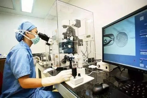 影响试管胚胎移植成功率的5大隐形因素！年龄之外这几点更被忽视