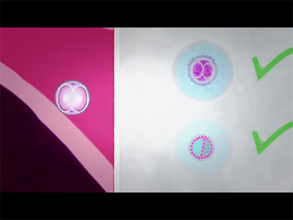 40岁以上高龄女性三代试管费用高吗？3大隐形开支别忽略