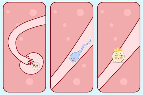 如何评估试管生男孩费用合理性？3步帮你避开价格陷阱