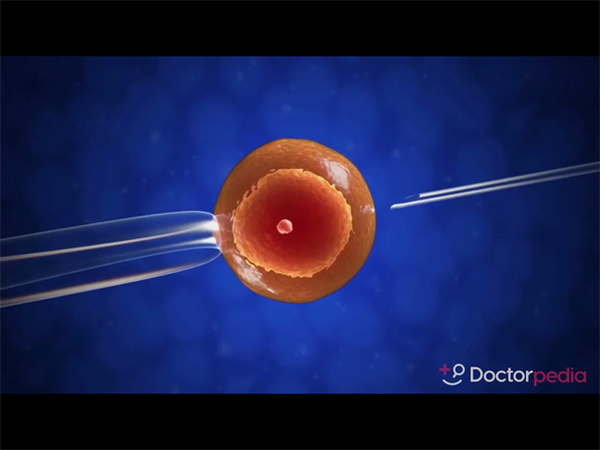 鲜胚移植后48小时黄金期！这5个动作可能降低着床率