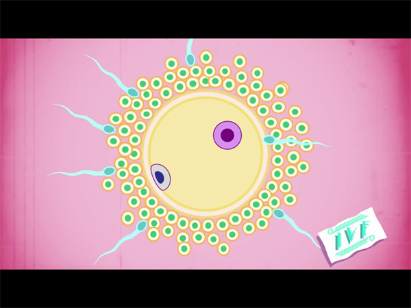 如何选择适合自己的重庆试管供卵助孕医院？专家给出建议