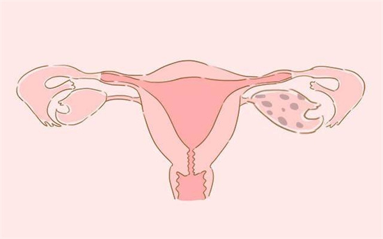 重庆试管供卵助孕医院如何匹配优质卵源？流程详解