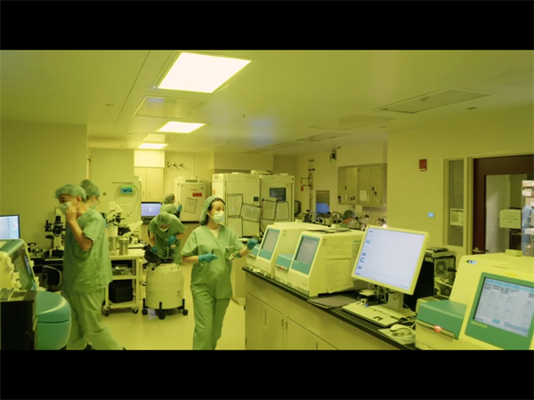 别只看总价！2026郑州供卵试管分项收费详解，每项花得值不值