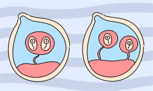 影响冷冻胚胎价格的5大因素,看懂不再被高价忽悠