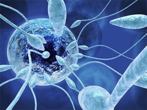 浙江供精试管婴儿医院权威名录！2026年最新认证机构全解析