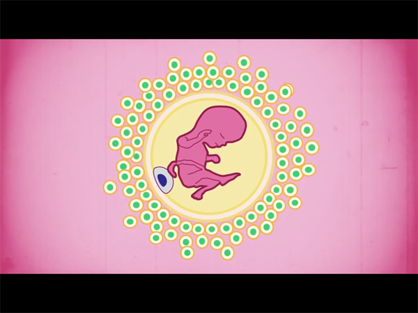 揭秘浙江供精试管真实费用！附10家医院收费明细与名单