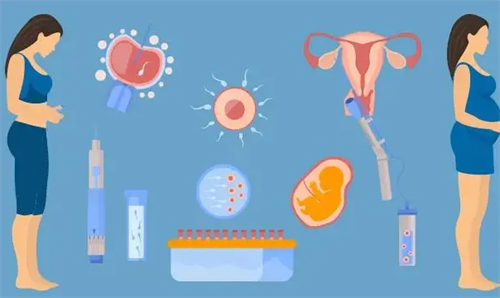 南京供卵试管医院排名≠适合你!不同需求如何匹配最优解