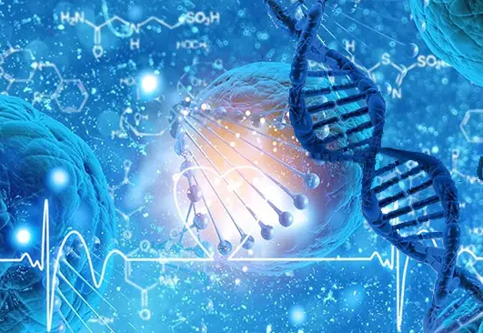 南京供卵试管医院深度解析!公立vs私立,哪类更适合高龄求子家庭