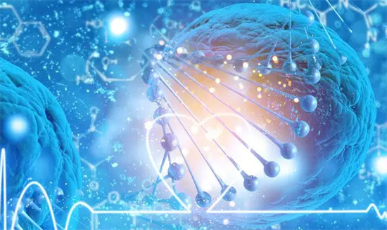 私立医院试管成功率高的隐藏条件，你可能一直忽略了