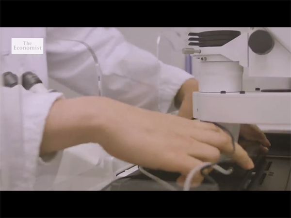 私立VS公立：哪家医院试管成功率更高？全面对比助你明智选择