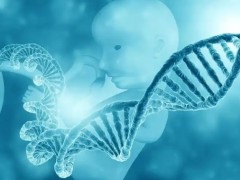 2025广州正规供卵试管婴儿医院排名！供卵成功率及费用都有介绍