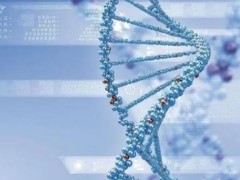 统计国内三代试管婴儿成功率！影响三代试管成功率因素一览