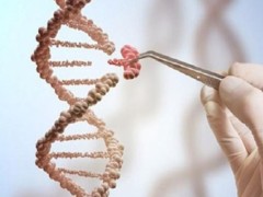 山大生殖做三代试管能一次成功吗？看完成功率影响因素再做判断