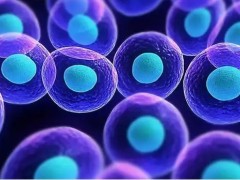 2025济南试管婴儿医院前三名！济南试管助孕成功率一般有多少