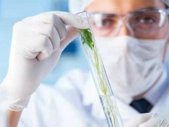 详解南京鼓楼医院试管生男孩几率！附鼓楼医院热门试管医生名单一览