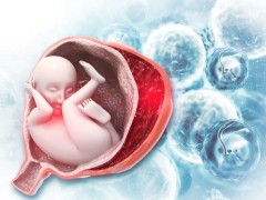 58岁还能做供卵试管婴儿吗？揭晓供卵试管助孕的几个特定条件