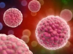 试管移植一个冻胚有什么成功经验？1个冻胚的成功率是多少