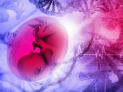 三代试管一般放几个胚胎最合适？放多少个胚胎成功率高看情况
